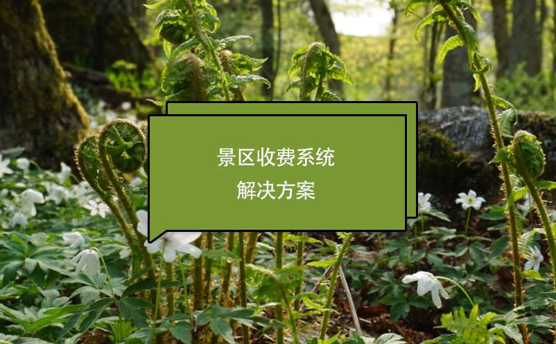 景區(qū)收費(fèi)系統(tǒng)解決方案