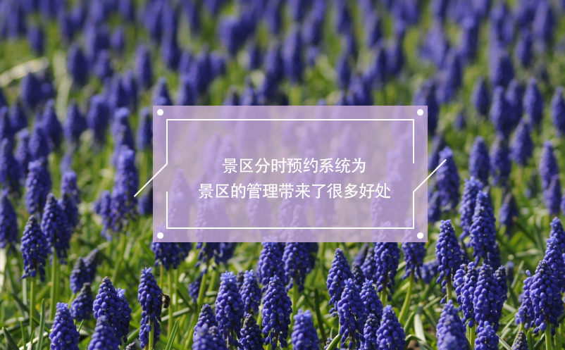 景區(qū)分時預約系統(tǒng)為景區(qū)管理帶來了很多好處