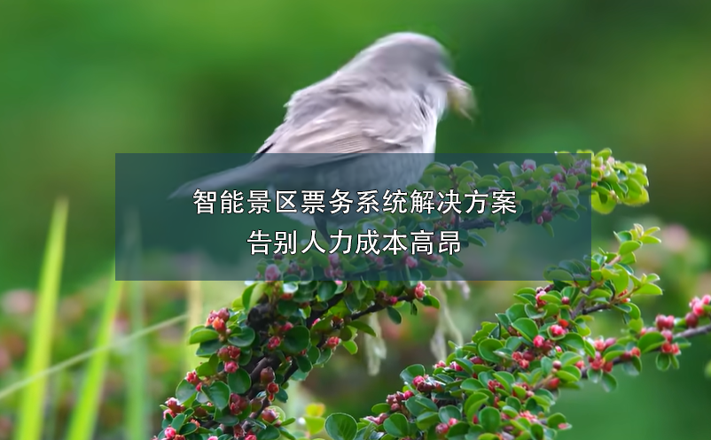 端午小長(zhǎng)假，智能票務(wù)系統(tǒng)如何在確保游客體驗(yàn)和提升景區(qū)的管理？